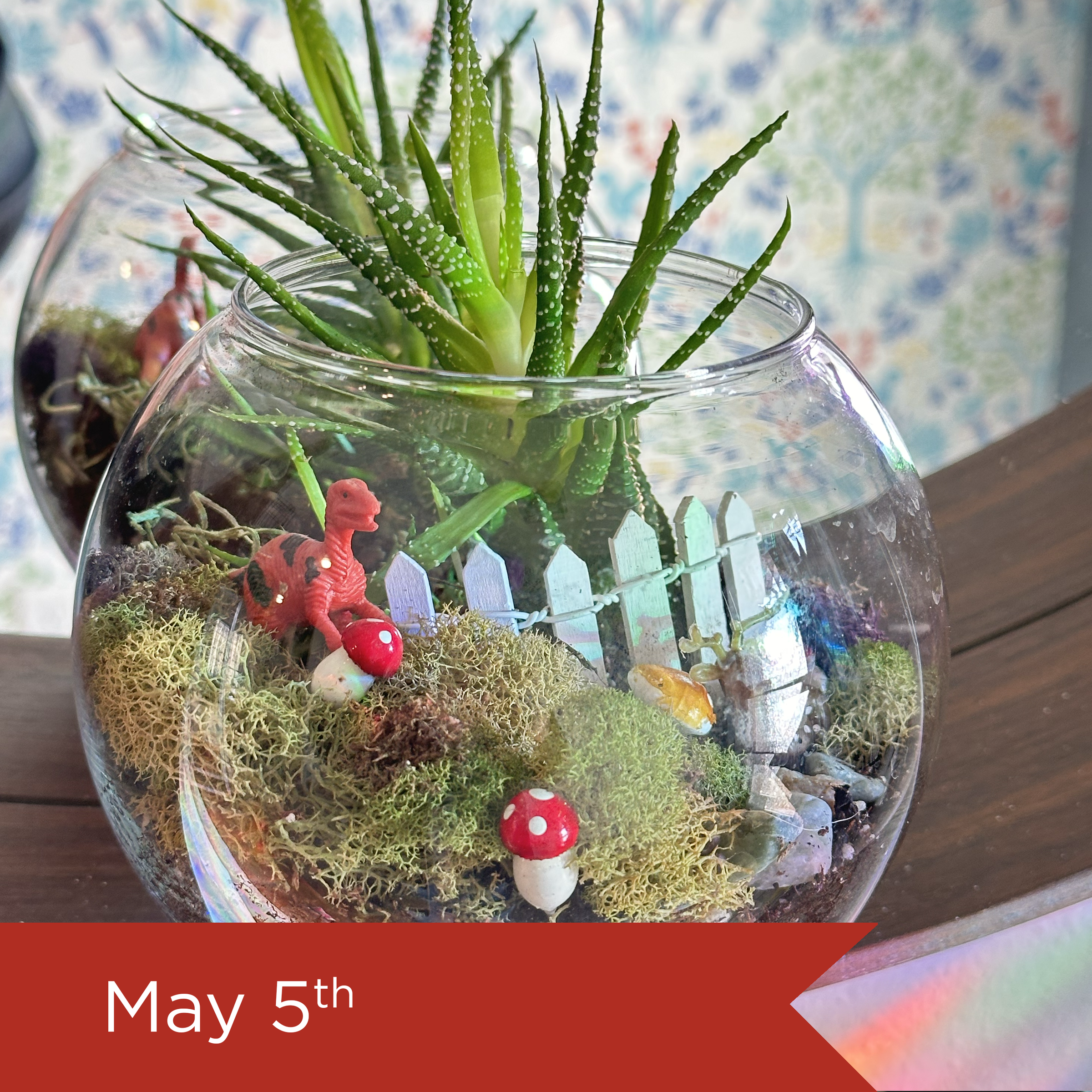 Succulent Terrarium - DIY Class | Red Barn - Park Rapids, MN
